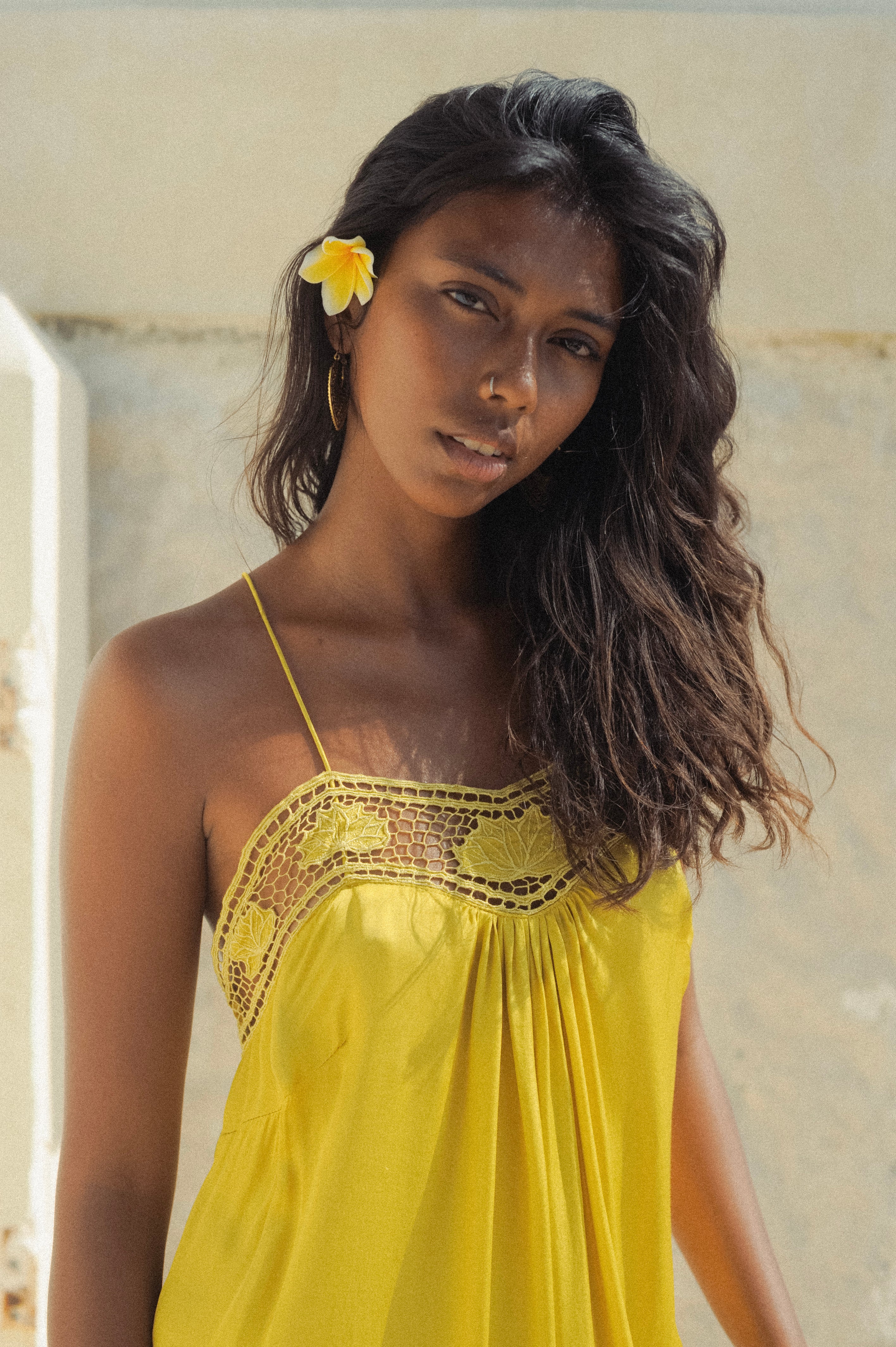 Lotus Silk Dress