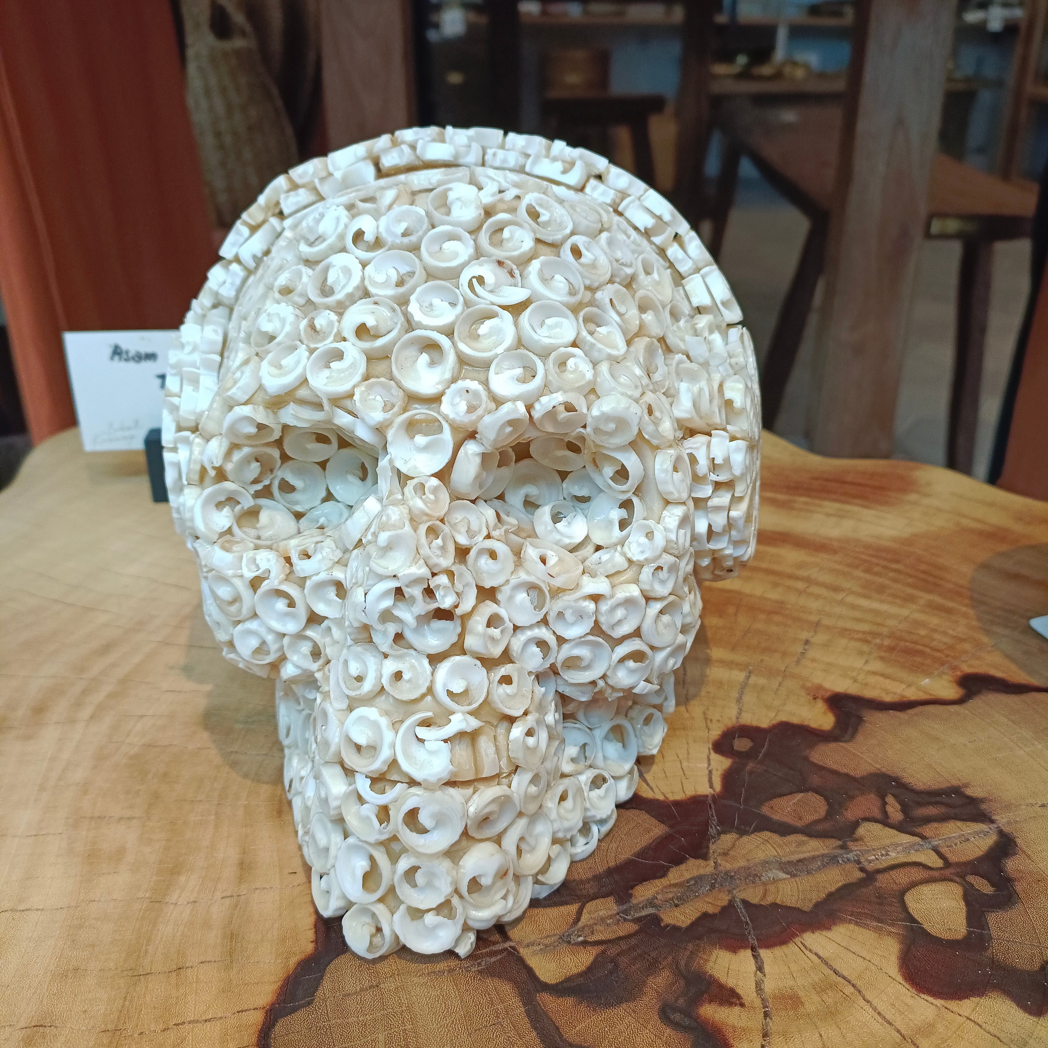 DJ Curly Shell DSH018